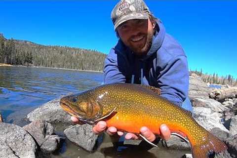 GIANT FALL BROOK TROUT!! (Fly Fishing)