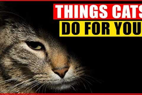 16 Things Your Cats Do for You Without You Knowing