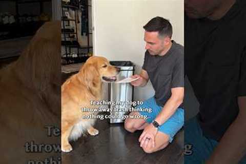 I made a BIG dog training mistake 🗑️