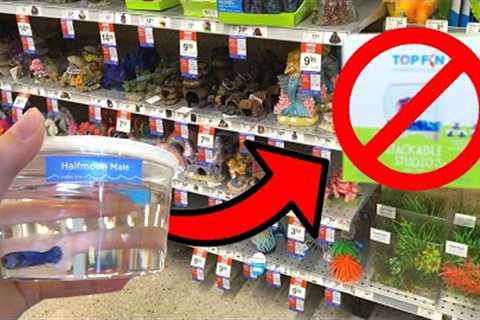 What Items NOT TO BUY For BETTA FISH TANK!