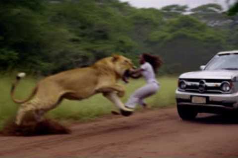 When Animals Go On A Rampage!!