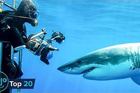 20 Most Dangerous Tourist Activities in the World