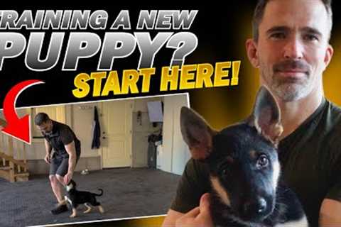 First Step to Training Your New Puppy!