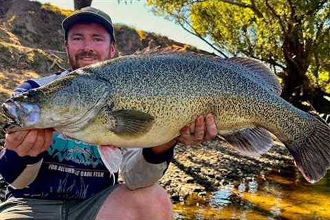 Epic Murray Cod Fishing Adventure in a Crystal Clear River