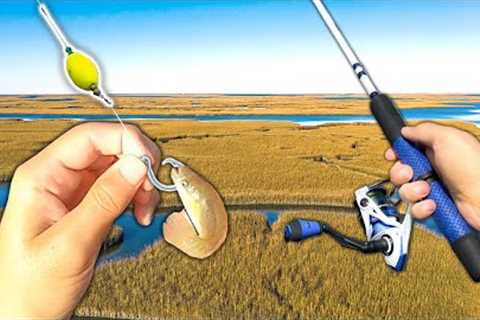 Fishing w/ MUD MINNOWS for Creek GIANTS! (Saltwater Fishing)