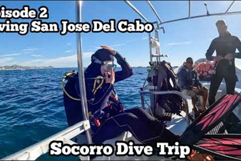 Warmup Dives in San Jose del Cabo | Quino Departure | Socorro Dive Trip Ep 2