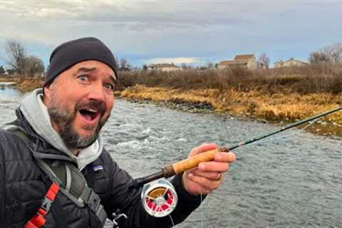 The Creek Behind Camp was UNBELIEVABLE!! (Fly Fishing Wild &amp; Native Trout)