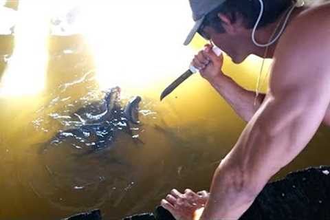 How to CATCH FISH with KNIFE!