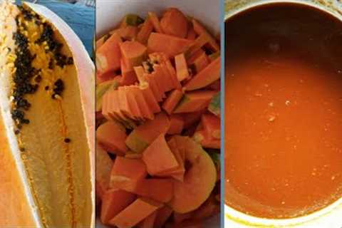 Korean Natural Farming, How to make Papaya Fermented Fruits Juice (FFJ)