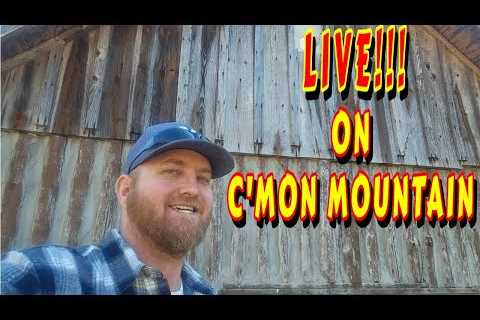 LET'S TALK ABOUT IT |tiny house, homesteading off-grid cabin build DIY HOW TO sawmill tractor cabin
