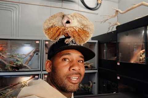 REPTILE TOUR WITH MY LIZARDS