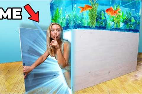 I Built a Secret Room in a Fish Tank