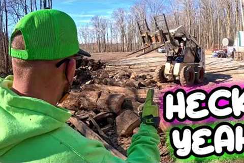 JUST WHAT WE NEEDED | CUTTING INTO OUR FIREWOOD STOCKPILE!
