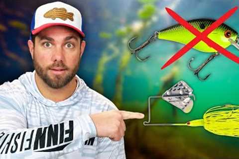 Always FISH Replacement Lures