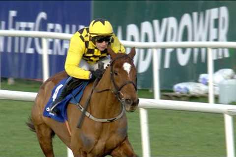 STATE MAN records eighth Grade One triumph with Irish Champion Hurdle defence