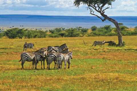 Explore Kenya: A Journey through Rich Culture and Breathtaking Landscapes