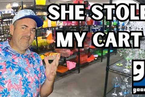 She Had It Coming | Goodwill Thrift Store Shopping | Health Update Reseller Vlog