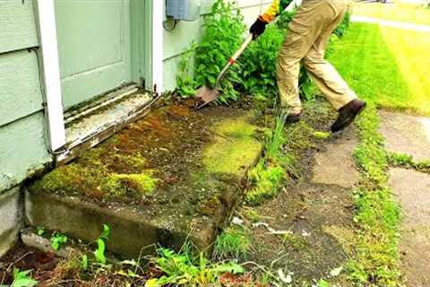 Nature Attempts To Takeover Property | Let's Restore This Mess!