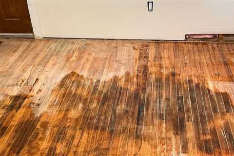 How to Save a Pet Stain Hardwood Floor