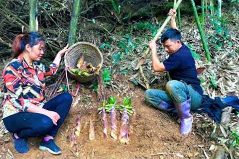 Together Dig and harvest bamboo shoots to sell - Build a beautiful new life in 2024