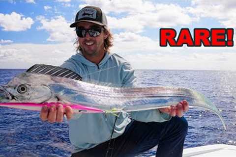 Catching STRANGEST FISH I've Ever Seen... (Catch/Clean/Cook)