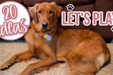 20 Games/Activities To Do With Your Dog | Fun Things To Do With Your Dog