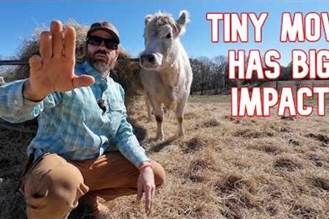 Will This One Small Change, Transform Everything?