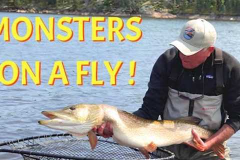 Sight Fishing for Monster Pike | Reindeer Lake Saskatchewan