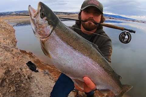 BIGGEST TROUT I’VE CAUGHT AND COOKED!!! (Fly Fishing)