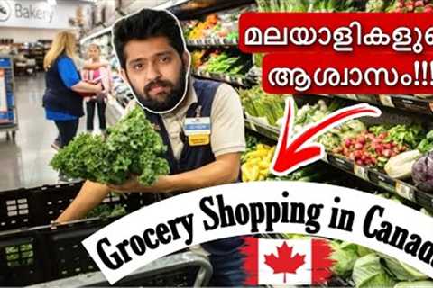 Grocery Shopping in Canada | Walmart | London, Ontario | Blissful Malayali 🇨🇦