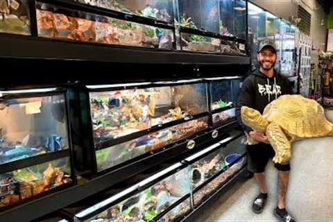 Exploring RARE Pet Shop In Florida!