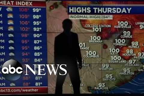 Live on-air news bloopers