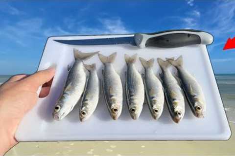 The MOST UNDERRATED Fish! (Catch Clean Cook) Mullet!
