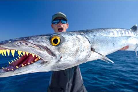TOXIC Truth about this Fish... Catch Clean Cook (Barracuda)