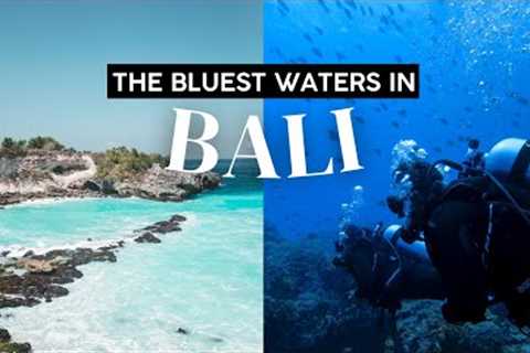 Scuba Diving in Bali's Bluest Waters... This is NUSA PENIDA🏝️