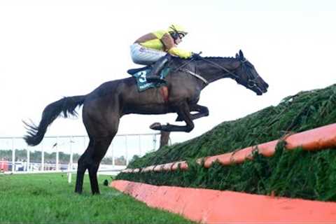 GALOPIN DES CHAMPS retains Irish Gold Cup crown