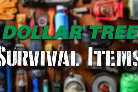 Top 10 Survival Items At The Dollar Store Worth Buying