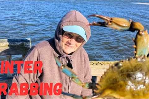 Catching Blue Crabs In Winter