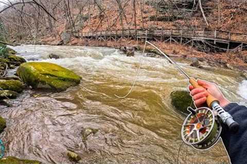 Streamer Fishing High Water for Brown Trout! (Fly Fishing Tips)