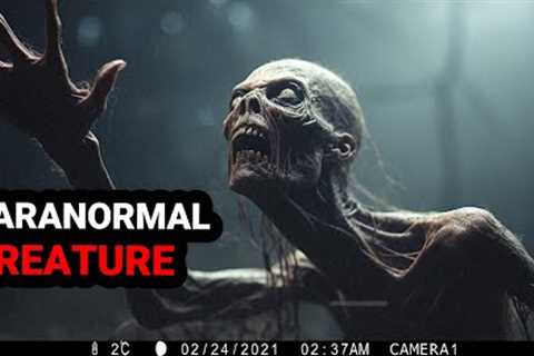 Latest Trail Cam Footage That Astonished the World