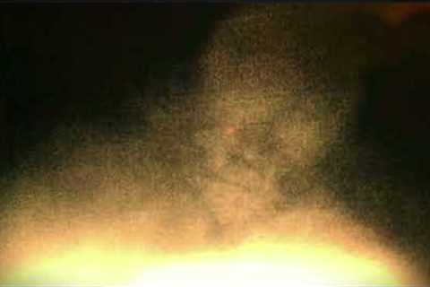 Latest Bigfoot News along with The Strange &amp; Unexplained Captured on Camera
