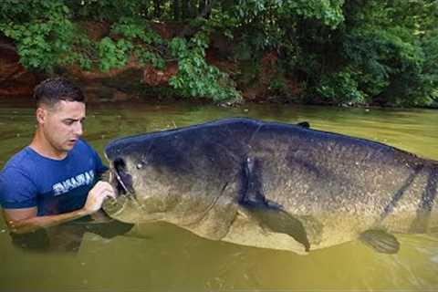 I Caught A Monster Fish With My Hands