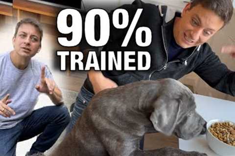 How To Get Your Dog 90% Trained with This ONE EASY Skill