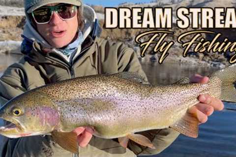 THE DREAM STREAM - Winter Fly Fishing Colorado for LARGE TROUT using TINY FLIES