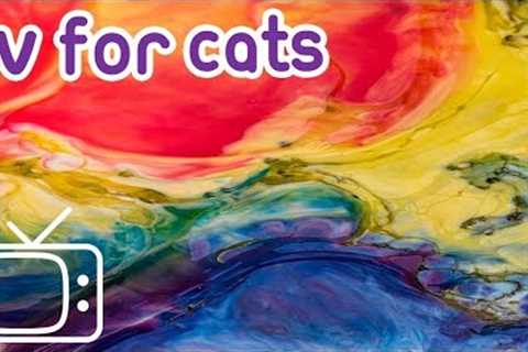 Cat TV: 8 Hours of stimulating abstract footage to entertain your cat!