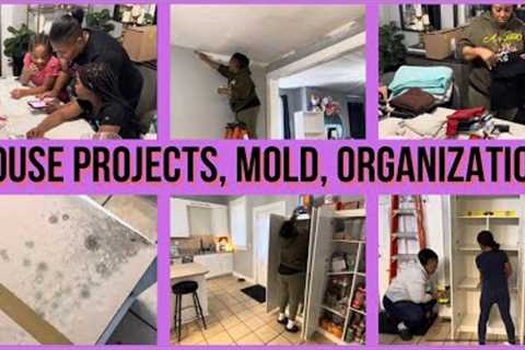 HOUSE PROJECTS, MOLD AND PANTRY DIY ORGANIZATION / LAUNDRY &amp; 100 DAYS OF SCHOOL PROJECT / SMTV