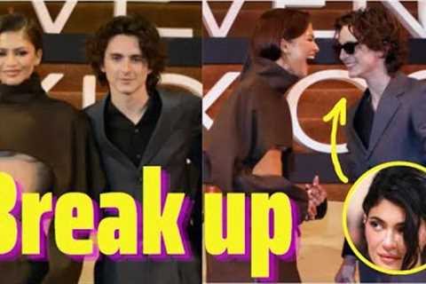 Timothee Chalamet cuddled Zendaya in Mexico after rumors of breaking up with Kylie Jenner