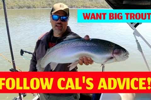 How To Catch Collins Lake Rainbows: Trout Fishing Strategy With Cal Kellogg #fishing #trout