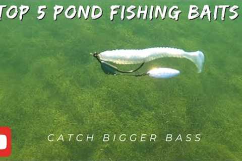 Top 5 Pond Bass Fishing Lures for Big Catches | Ultimate Guide