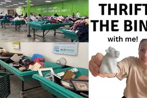 Thrifting the Goodwill BINS | Chatty Thrift Haul | Thrifting For Resell 2024 | Thrifting for Profit
